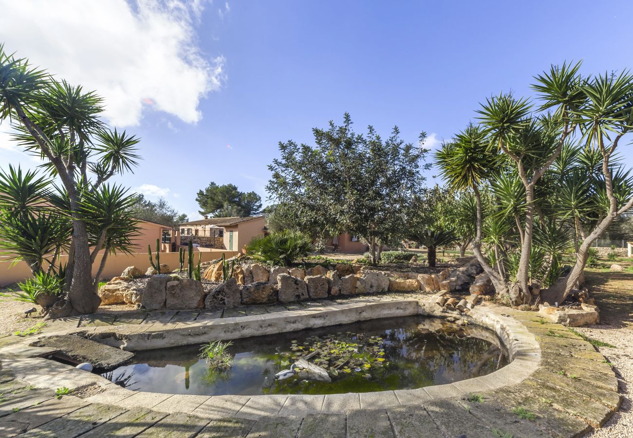 Domaine à Algaida - Cas Misser Domaine à Algaida - Cas Misser