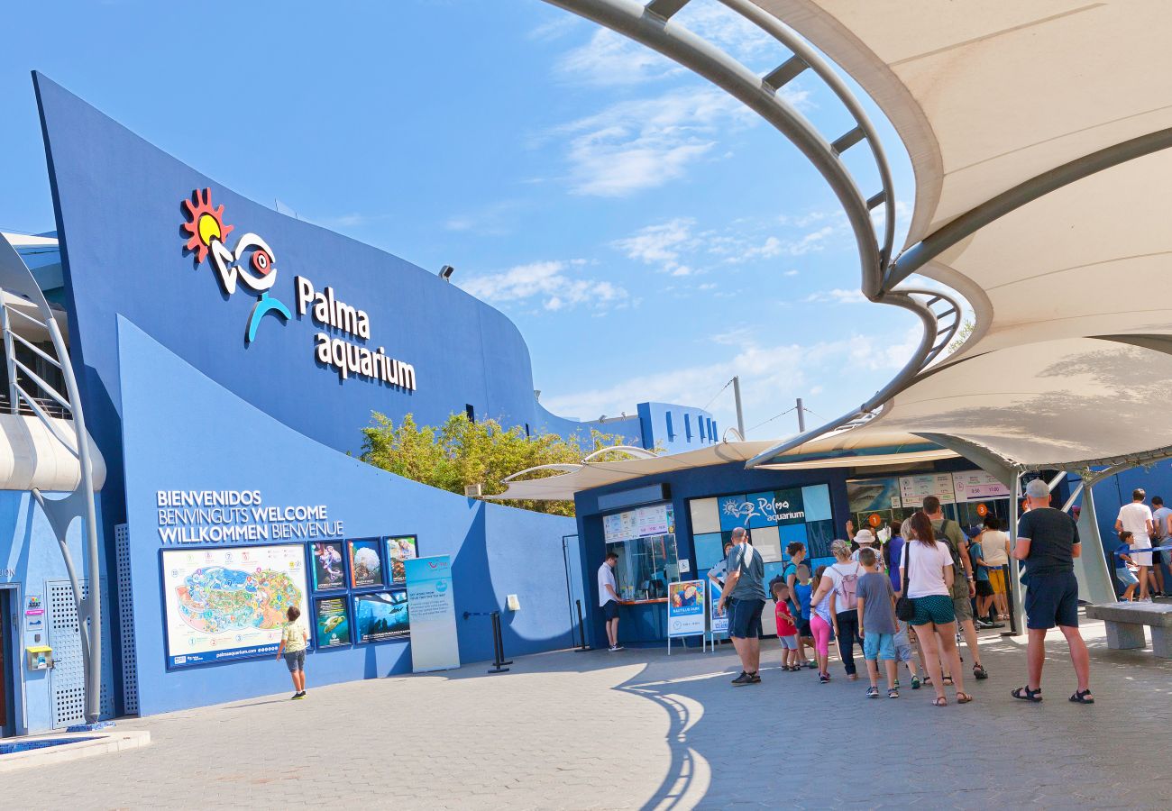 Villa à Arenal - Villa Els Pins Villa à Arenal - Villa Els Pins