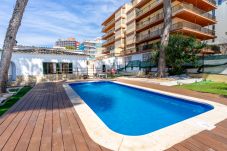 Villa à Arenal - Villa Els Pins