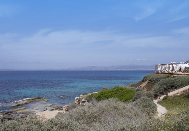 Villa à Sa Torre - Villa Sa Torre Villa à Sa Torre - Villa Sa Torre