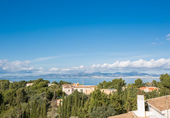 Villa à Cala Blava - Villa Lirica Villa à Cala Blava - Villa Lirica