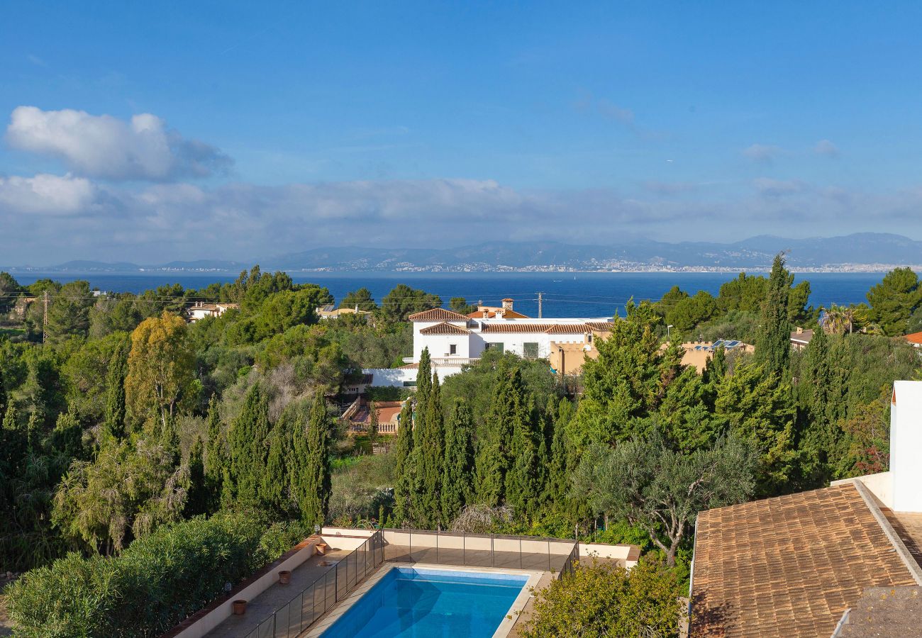Villa à Cala Blava - Villa Lirica Villa à Cala Blava - Villa Lirica
