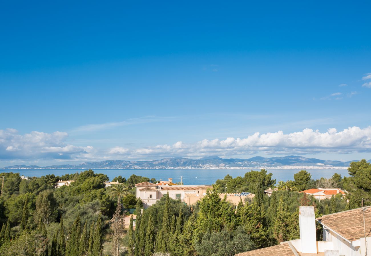 Villa à Cala Blava - Villa Lirica Villa à Cala Blava - Villa Lirica