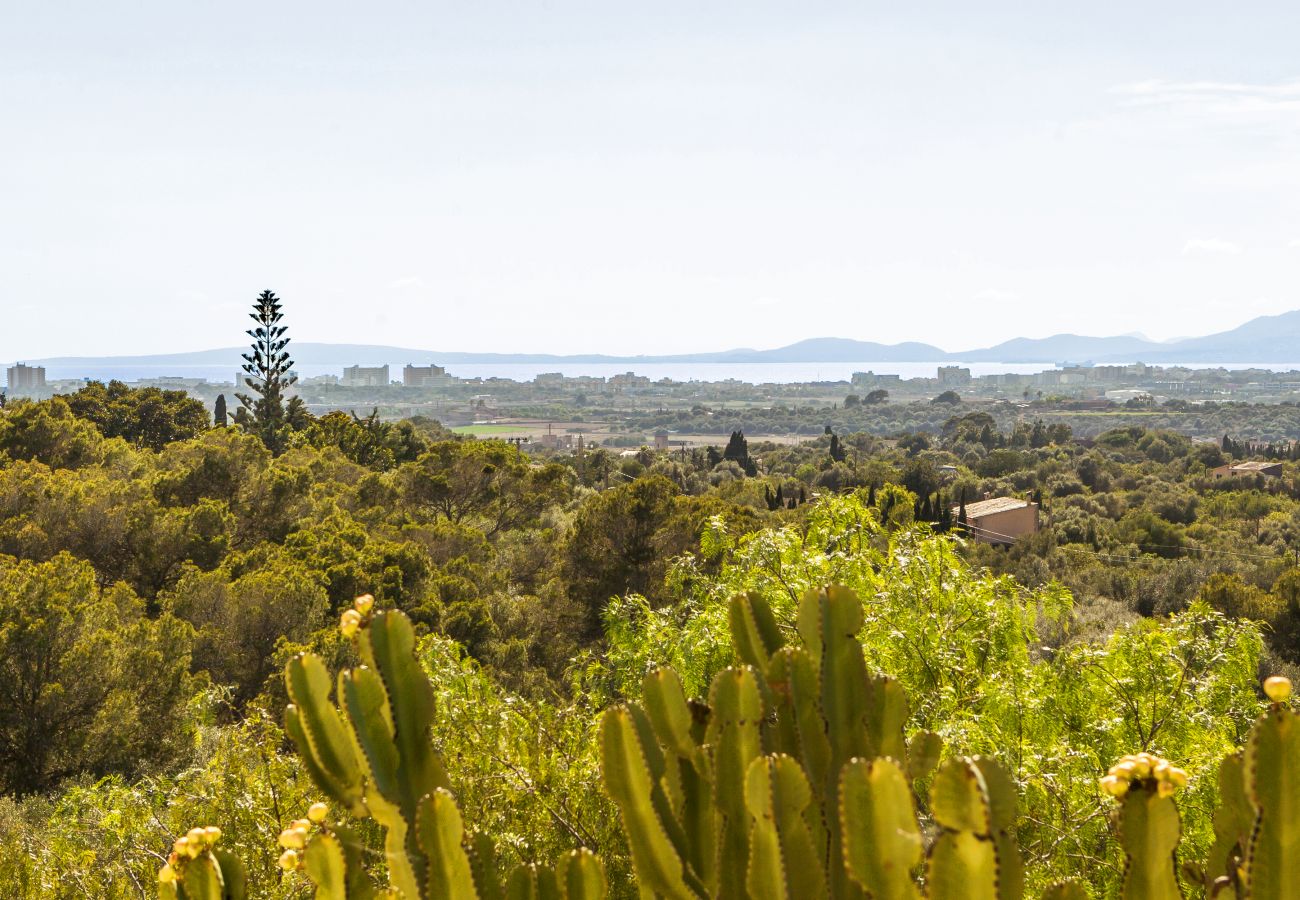 Villa à San Jordi - Rustica s'Aranjassa Villa à San Jordi - Rustica s'Aranjassa