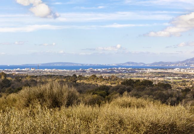 Domaine à San Jordi - Son Binissalom Domaine à San Jordi - Son Binissalom