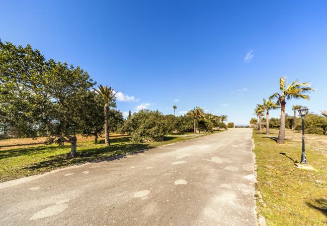 Domaine à San Jordi - Son Binissalom Domaine à San Jordi - Son Binissalom