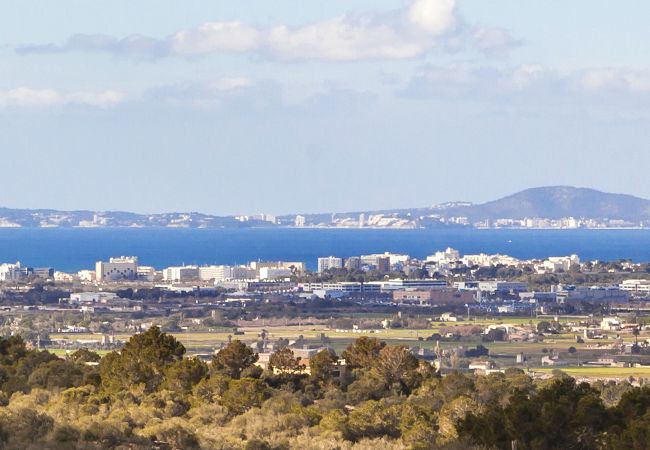 Domaine à San Jordi - Son Binissalom Domaine à San Jordi - Son Binissalom