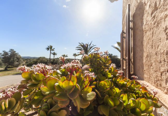 Domaine à San Jordi - Son Binissalom Domaine à San Jordi - Son Binissalom