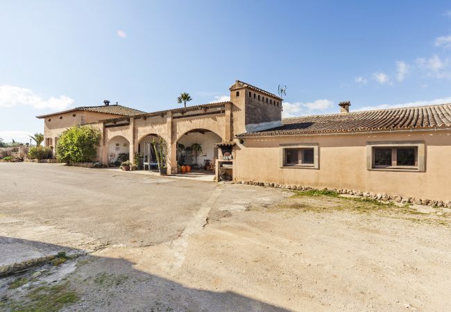 Domaine à San Jordi - Son Binissalom Domaine à San Jordi - Son Binissalom