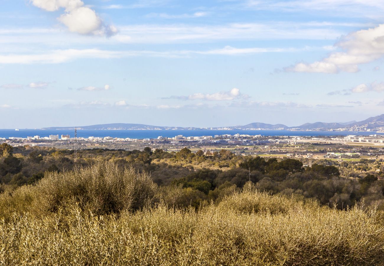 Domaine à San Jordi - Son Binissalom Domaine à San Jordi - Son Binissalom