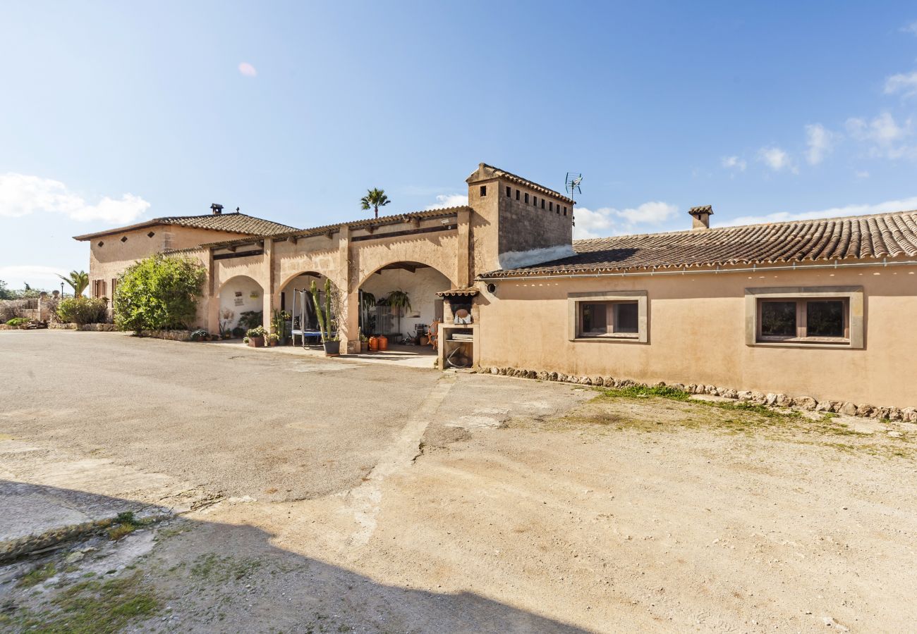 Domaine à San Jordi - Son Binissalom Domaine à San Jordi - Son Binissalom