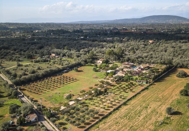 Country house in Algaida - Cas Misser Country house in Algaida - Cas Misser