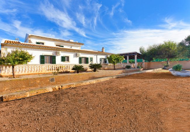 Villa in Palma de Mallorca - Can Reto Villa in Palma de Mallorca - Can Reto