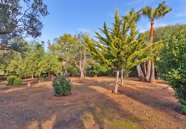 Villa in Palma de Mallorca - Can Reto Villa in Palma de Mallorca - Can Reto