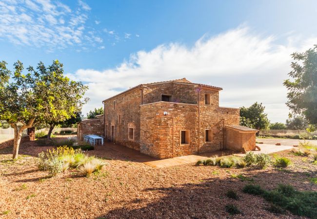 Villa in Manacor - Can Banyeta Villa in Manacor - Can Banyeta